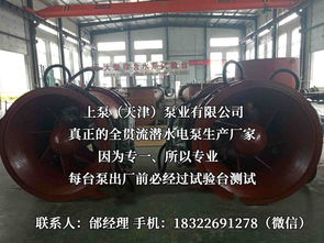 探索流體世界的隱秘力量 潛水貫流泵、全貫流閘門泵、燈泡泵與臥式全貫流泵技術解析